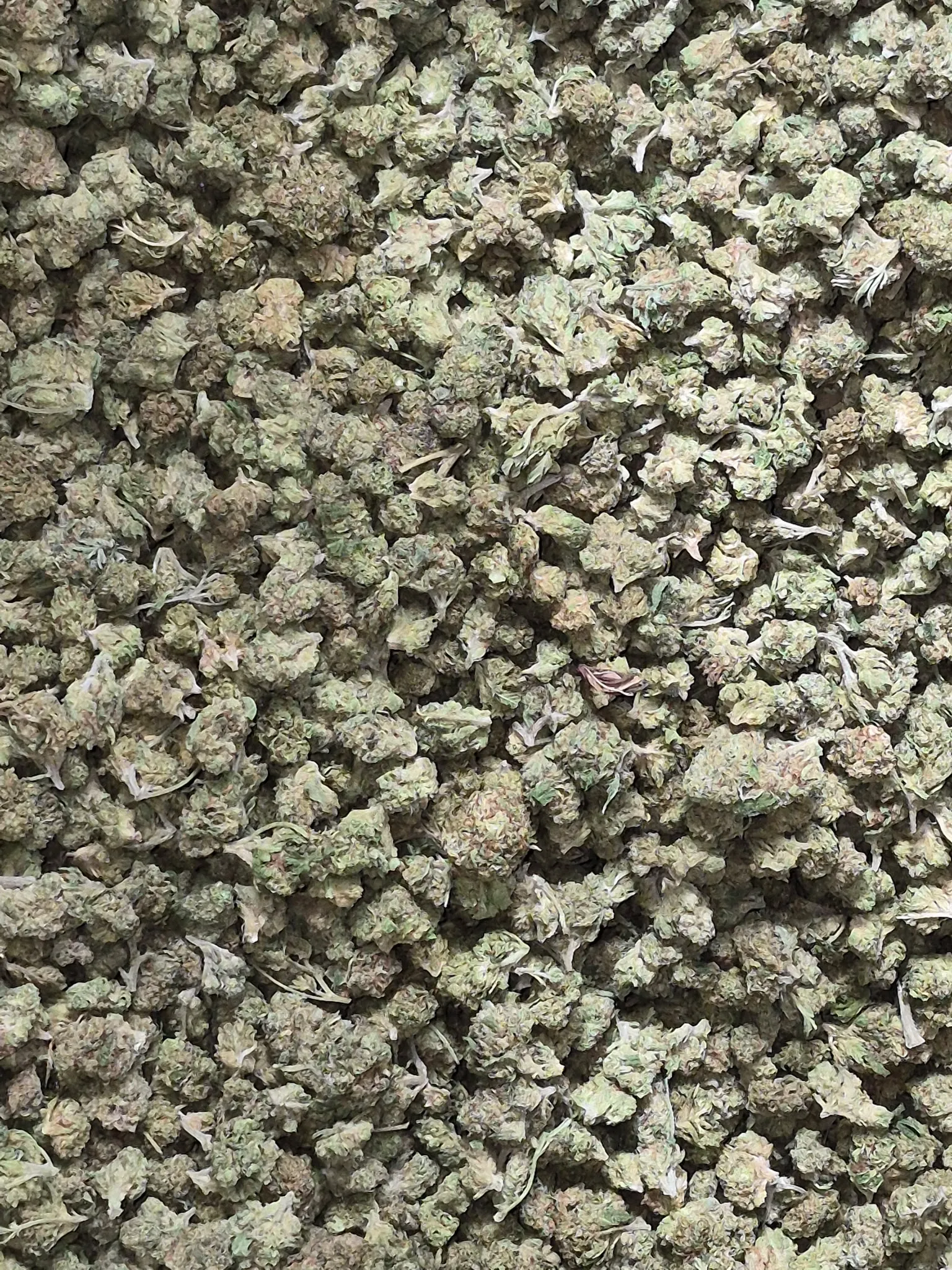 Cap Junky Smalls Flower